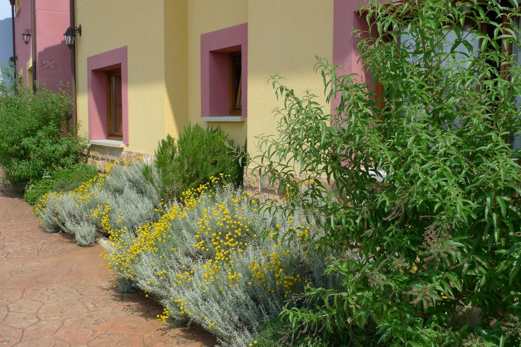 Apartamentos Rurales Antojanes Granda  Buitenkant foto